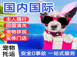 三义航空托运国际宠物托运 【国